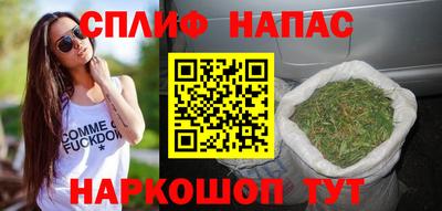 гидра Будённовск