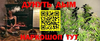 гидра Будённовск