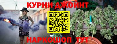 гидра Будённовск