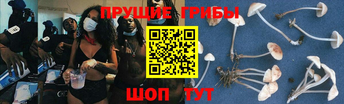 Галлюциногенные грибы GOLDEN TEACHER  Вход с VPN  Орёл 